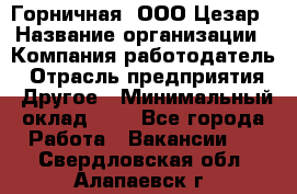 Горничная. ООО Цезар › Название организации ­ Компания-работодатель › Отрасль предприятия ­ Другое › Минимальный оклад ­ 1 - Все города Работа » Вакансии   . Свердловская обл.,Алапаевск г.